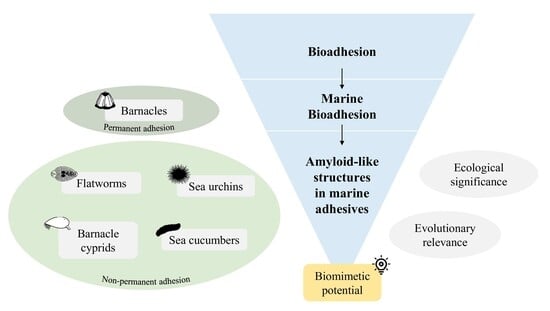 T2P_ExpertSeminar_GMinas